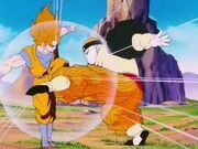19-goku.jpg