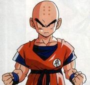 210px-Krillin666666.jpg