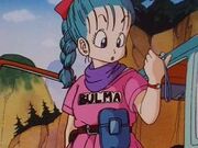 Bulma first.jpg