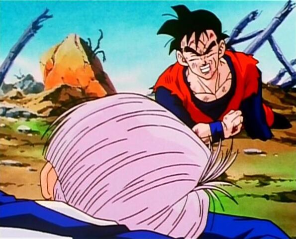 File:Future Trunks Gohan 002.jpg