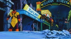 Calle Iguana 1.jpg