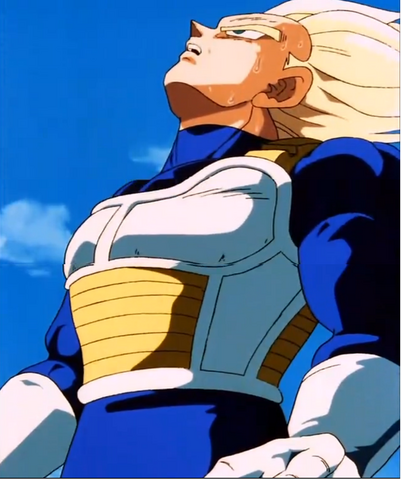 File:FullBodyVegeta.png