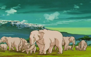 Elefantes.png