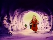 CavernaNamekusei.png
