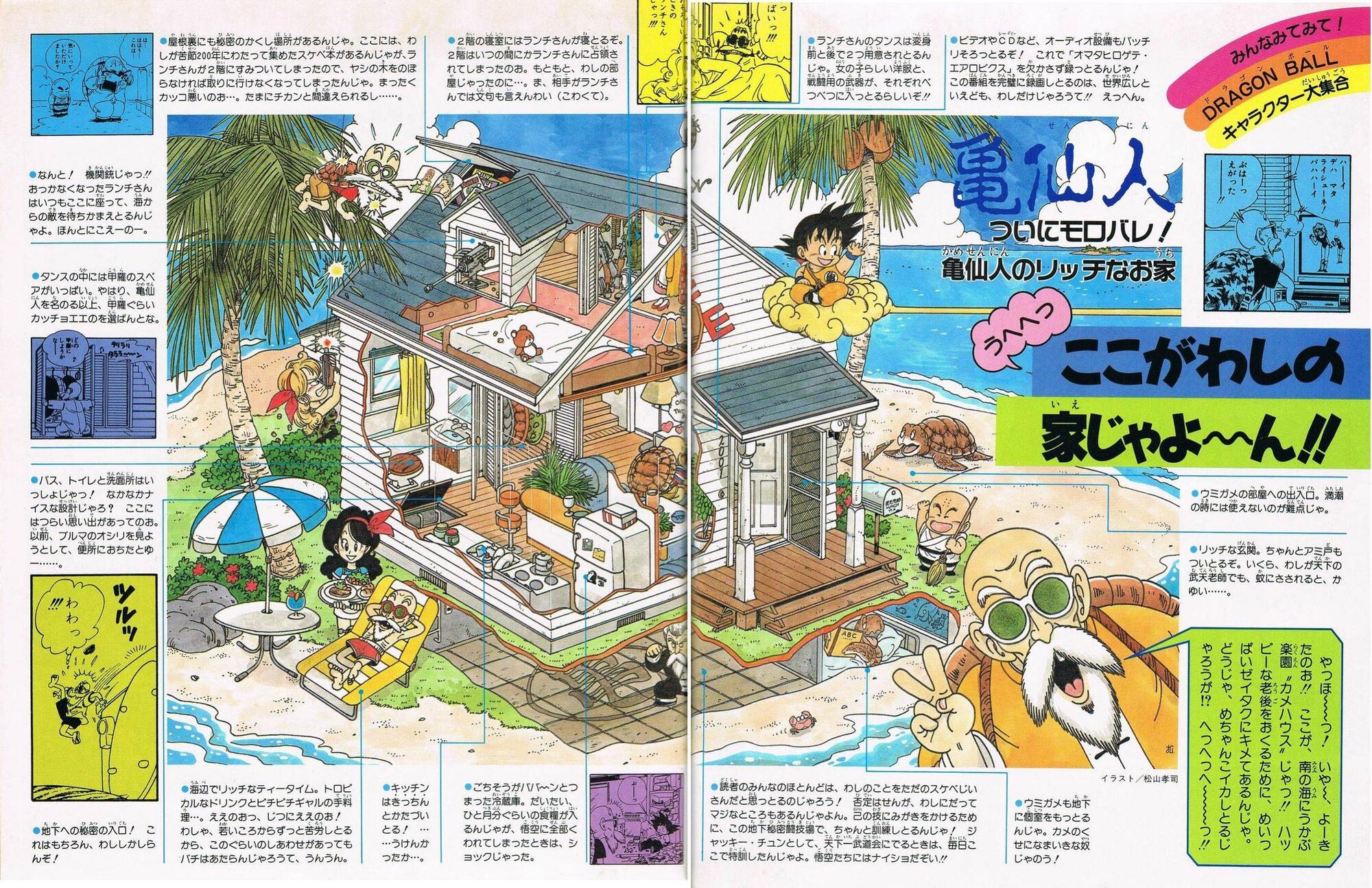 Image Kame House Interior jpg Dragon Ball Wiki FANDOM Powered By Wikia image-kame-house-interior-jpg-dragon-ball-wiki-fandom-powered-by-wikia