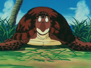 Turtle.png