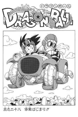File:Let the Training Begin.jpg