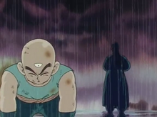 Tenshinhan allenamenti