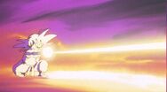 Fite