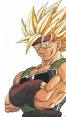 Bardock ssj2