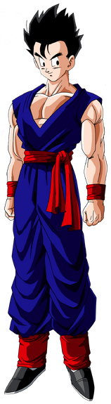 Son Gohan Adulto