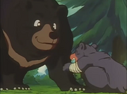 Bears.HeroLegacy.