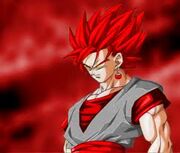 Images (48)