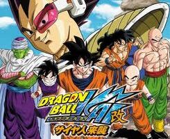 DBKaiSaiyanSaga
