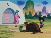 BulmaTurtleGokuDragonBall