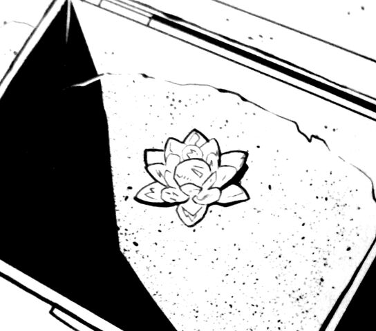File:Fiore del deserto.jpg