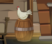 Chicken