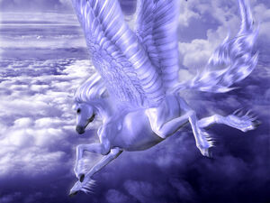 Pegaso1