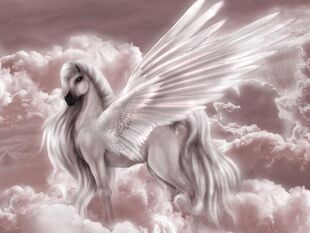 Pegaso2