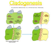 Cladogenesis