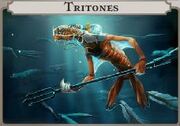 Trito.jpg