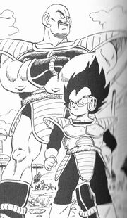 VegetaAndNappa