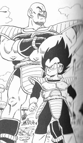 File:VegetaAndNappa.jpg