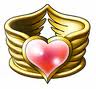 Life bracer