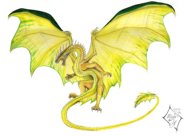 File:German Dragon by SabrielDragonkin.jpg