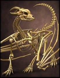 The-bone-dragon-for-poser