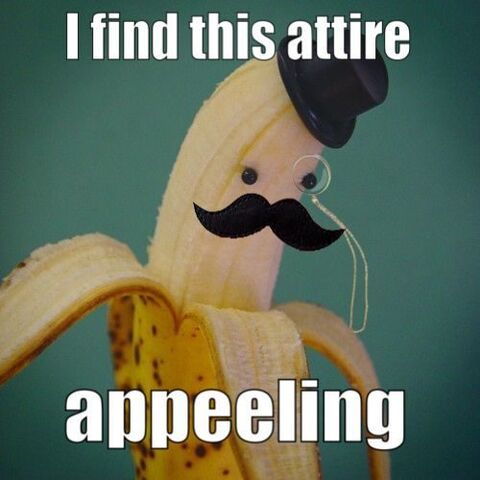 File:Funny-pun-photos-18.jpg
