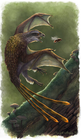 File:Yi qi by ewilloughby.jpg