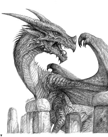 File:Bw-dragon073.jpg