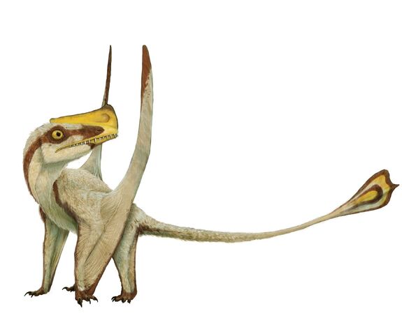 File:Austriadactylus.jpg