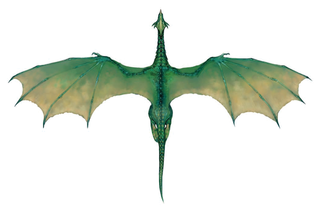 File:Green Dragon (overhead).png
