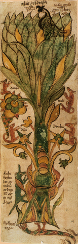 File:Yggdrasill.png