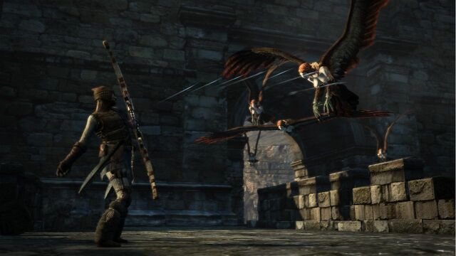 Archivo:Harpía - ranger.jpg