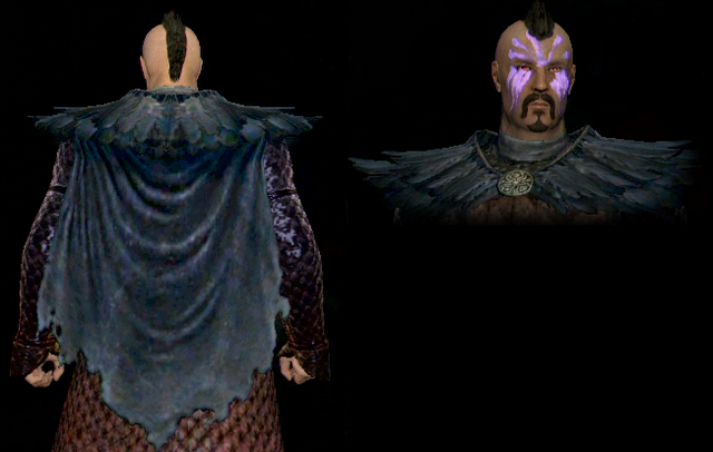 File:Feather Cape.png