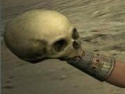 Throwing Skull