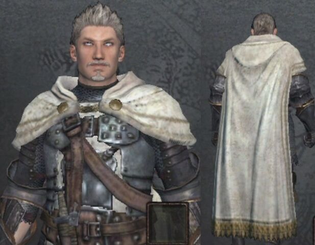 File:Lordly Cloak.jpg