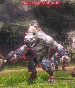 Blackclaw Marauder