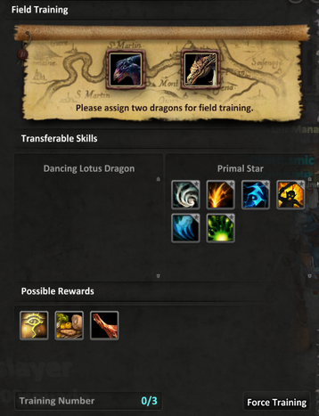 Dragon Training