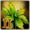Novice Herb Knowledge Mastery