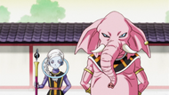 Kusu & Rumoosh