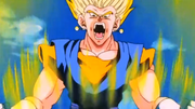 SuperVegetto