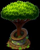 Dracaena tree