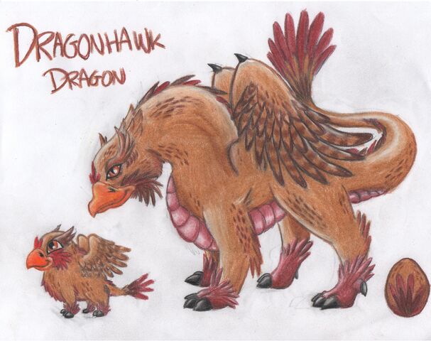 File:DragonHawk Dragon WTL.jpg