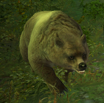 Baer01.png