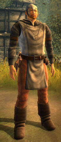File:Battlemage-male.jpg