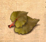 Gulmondblatt01.jpg